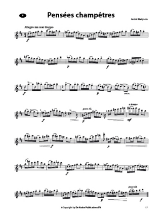 New Concert Studies for Flute + CD - Partition - Flûte traversière